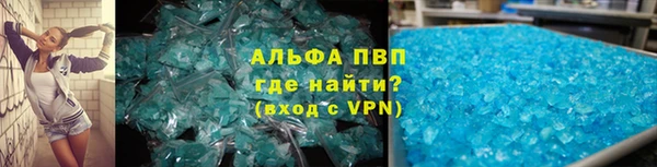 хмурый Абаза
