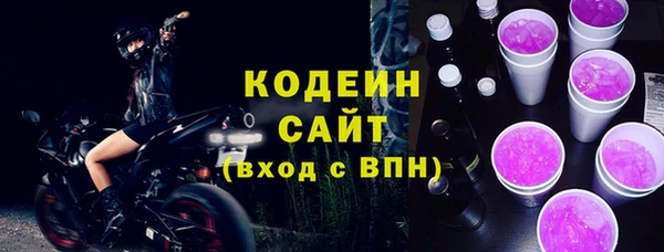хмурый Абаза