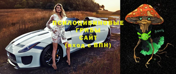 хмурый Абаза