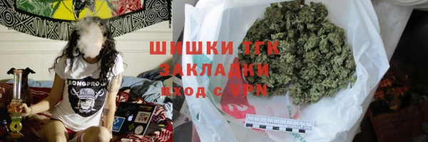 хмурый Абаза